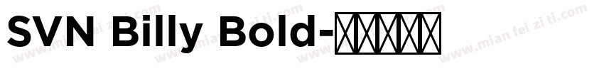 SVN Billy Bold字体转换